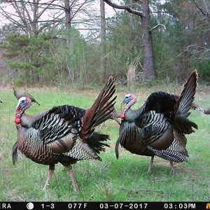 Meet your Posher, Tim